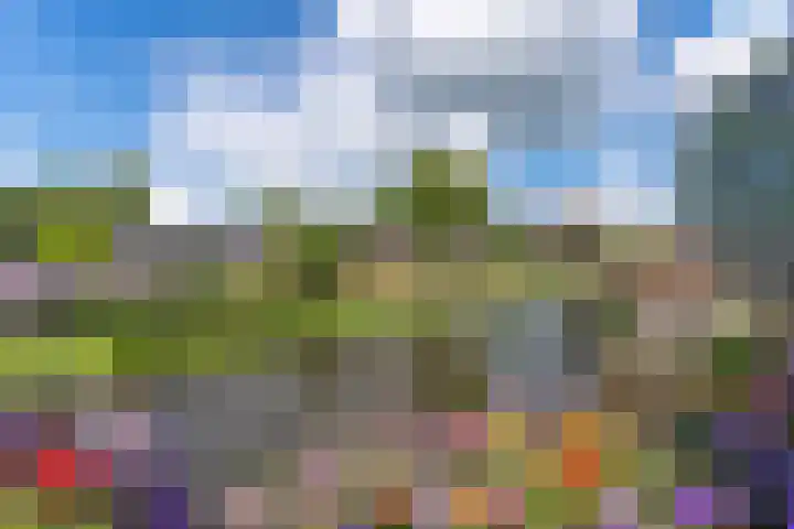 De Steiger 8 Bunschoten-Spakenburg thumbnail 38