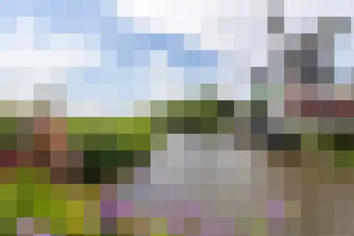 De Steiger 8 Bunschoten-Spakenburg thumbnail 39