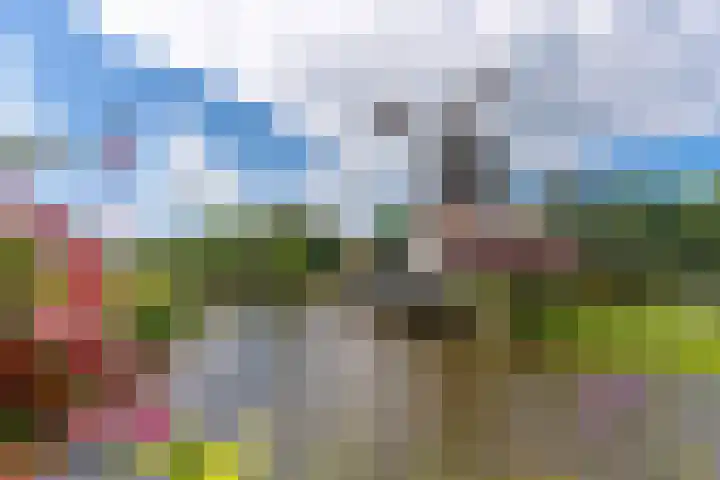 De Steiger 8 Bunschoten-Spakenburg thumbnail 7