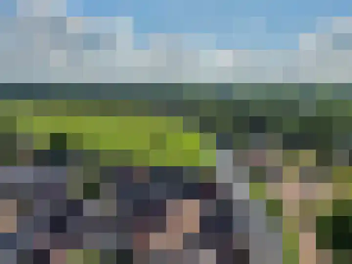 De Steiger 8 Bunschoten-Spakenburg thumbnail 8