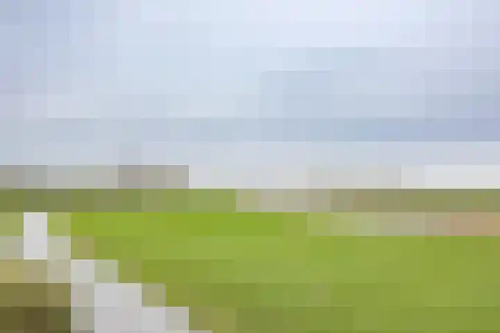 De Stek 10 Nieuwe Niedorp thumbnail 17