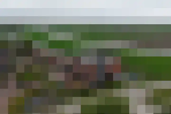 De Stek 10 Nieuwe Niedorp foto 2