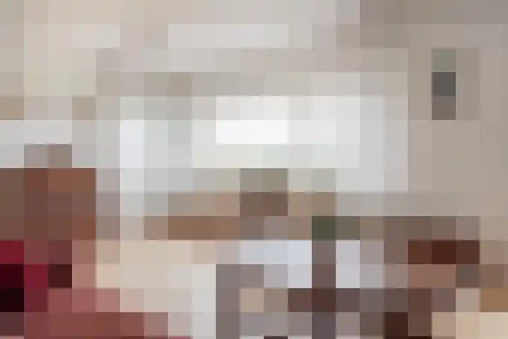 De Stek 10 Nieuwe Niedorp thumbnail 6