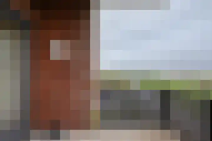 De Stek 10 Nieuwe Niedorp thumbnail 8