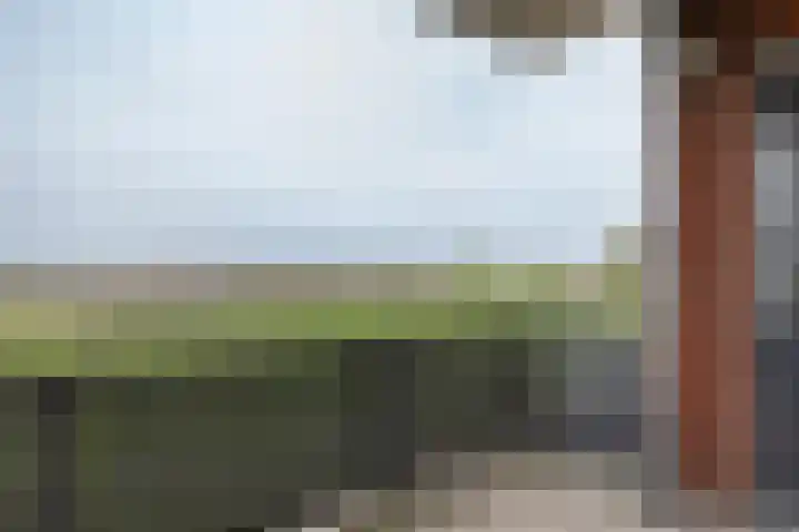 De Stek 10 Nieuwe Niedorp thumbnail 9