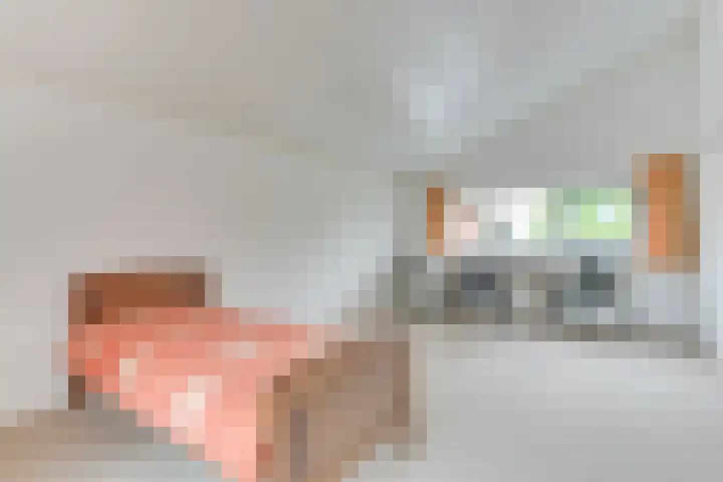 De Stek 3 Nieuwe Niedorp thumbnail 27