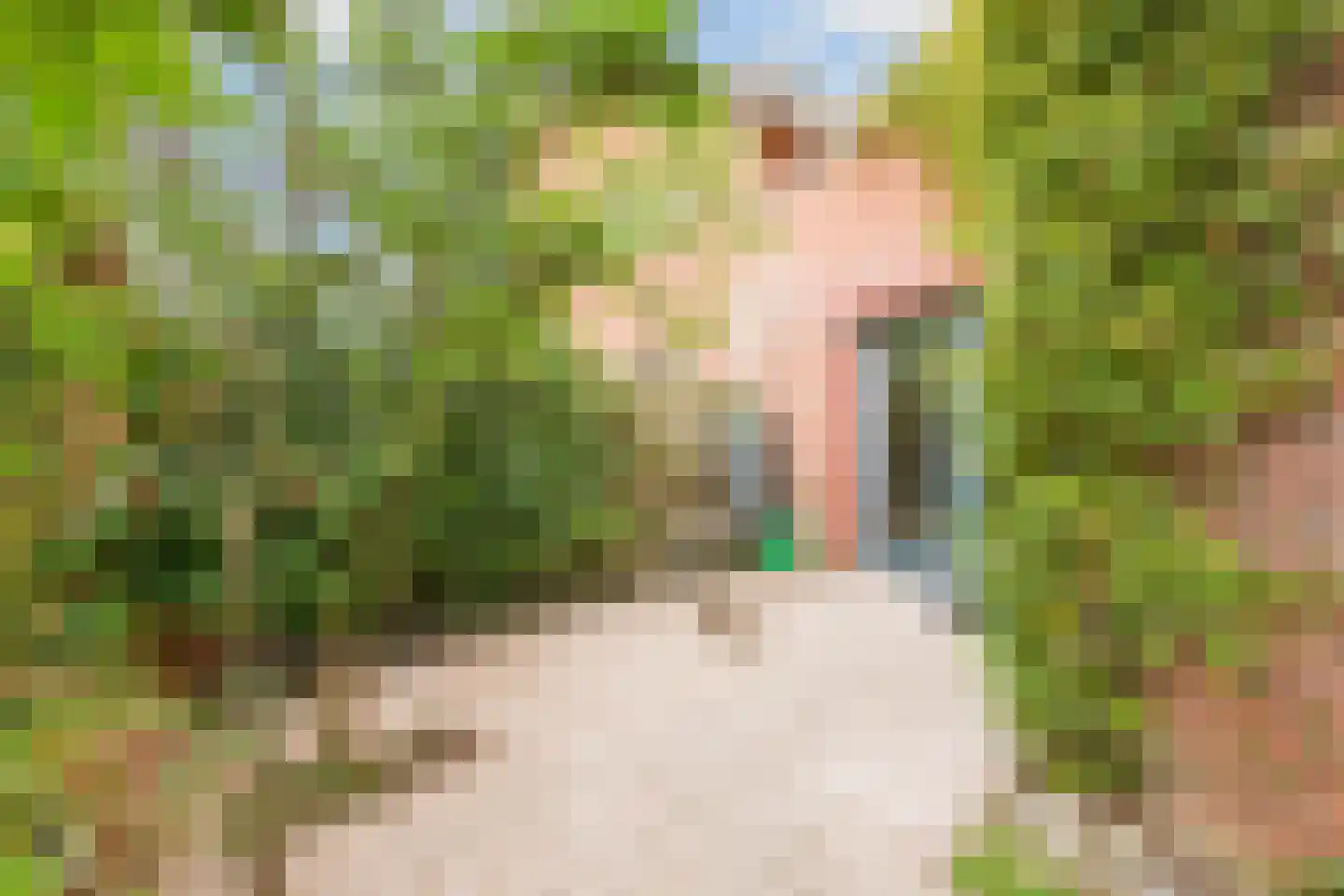 De Stek 3 Nieuwe Niedorp thumbnail 42