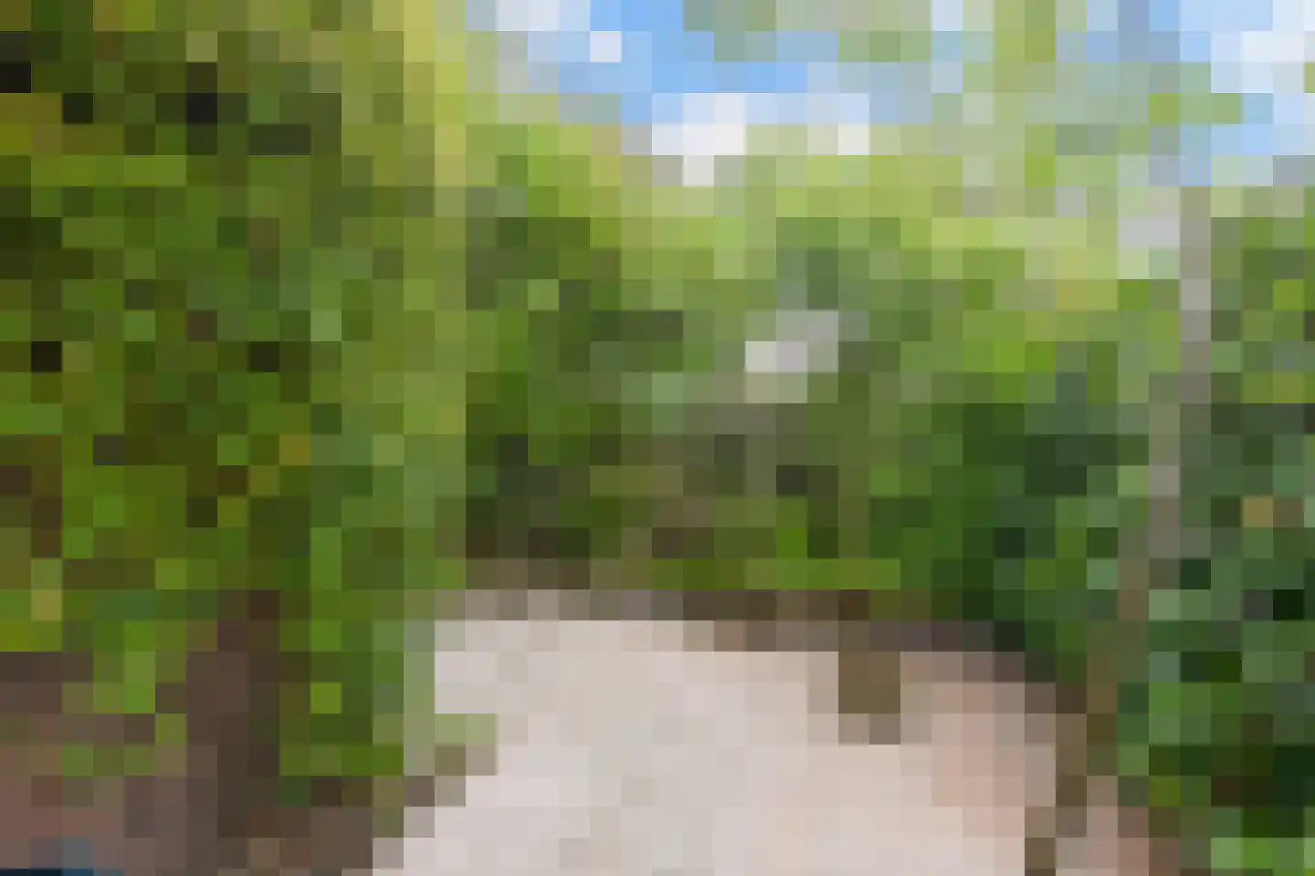 De Stek 3 Nieuwe Niedorp thumbnail 43