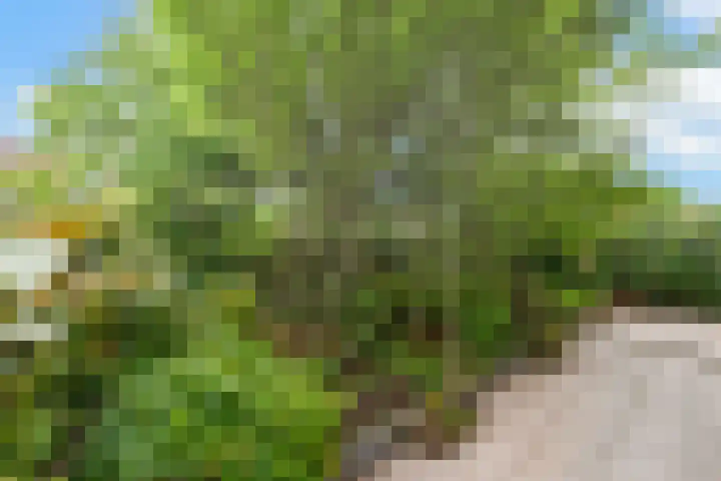 De Stek 3 Nieuwe Niedorp thumbnail 44