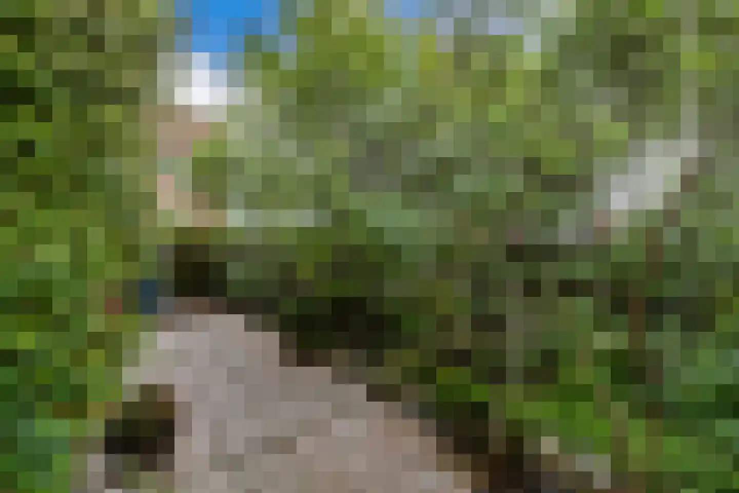 De Stek 3 Nieuwe Niedorp thumbnail 45