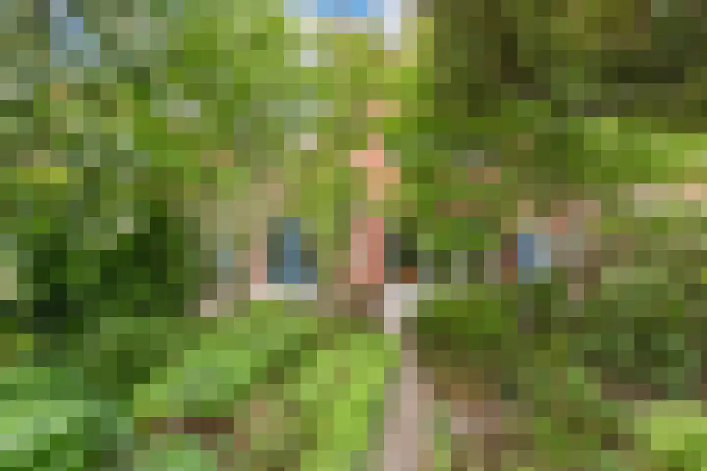 De Stek 3 Nieuwe Niedorp thumbnail 46