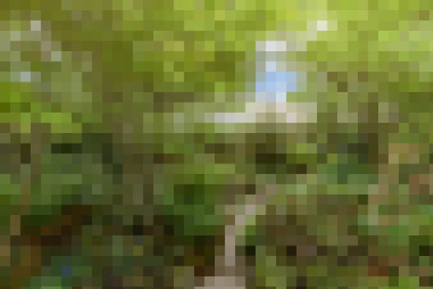 De Stek 3 Nieuwe Niedorp thumbnail 47