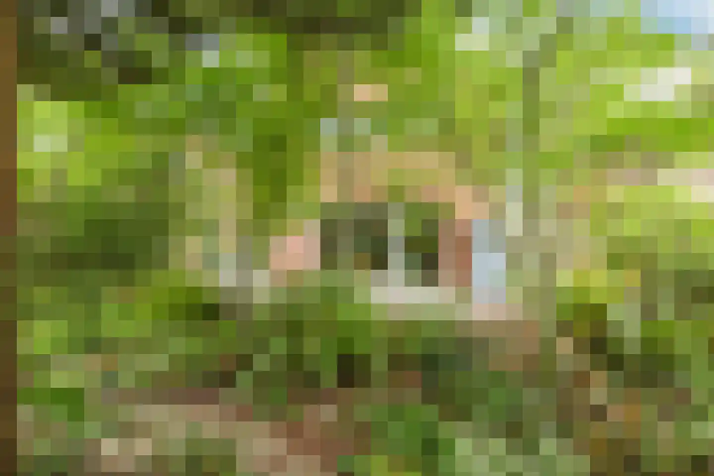 De Stek 3 Nieuwe Niedorp thumbnail 48