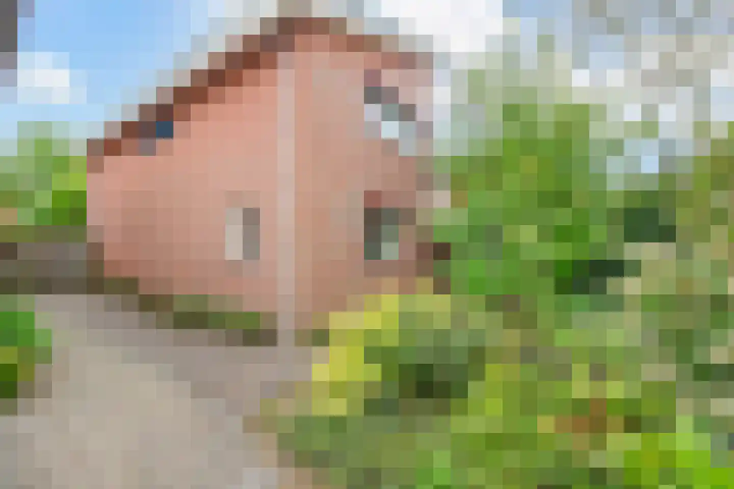 De Stek 3 Nieuwe Niedorp thumbnail 50