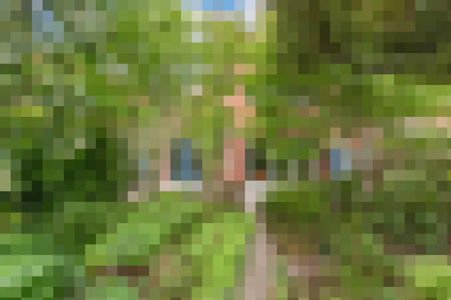 De Stek 3 Nieuwe Niedorp thumbnail 6