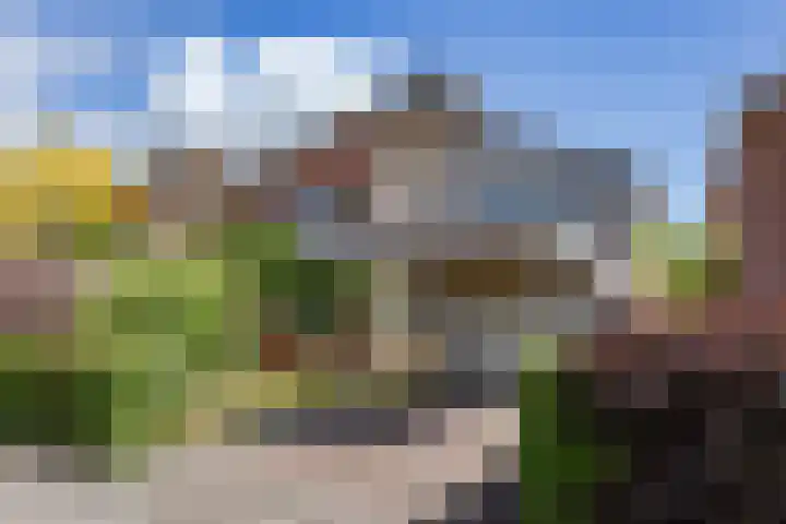 De Stek 5 Nieuwe Niedorp