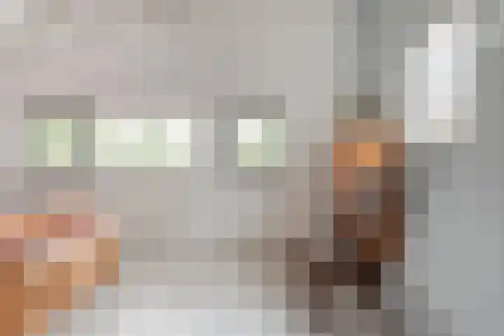 De Stek 5 Nieuwe Niedorp thumbnail 14