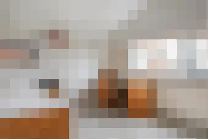De Stek 5 Nieuwe Niedorp thumbnail 15