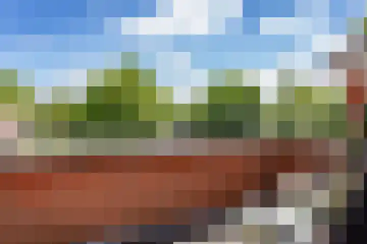 De Stek 5 Nieuwe Niedorp thumbnail 18