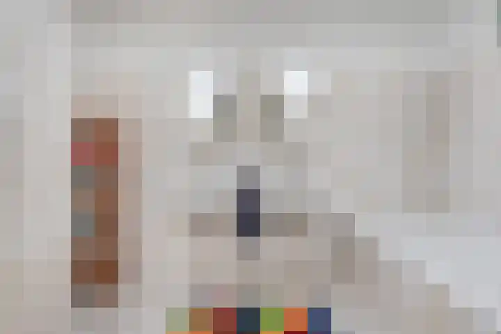 De Stek 5 Nieuwe Niedorp thumbnail 19