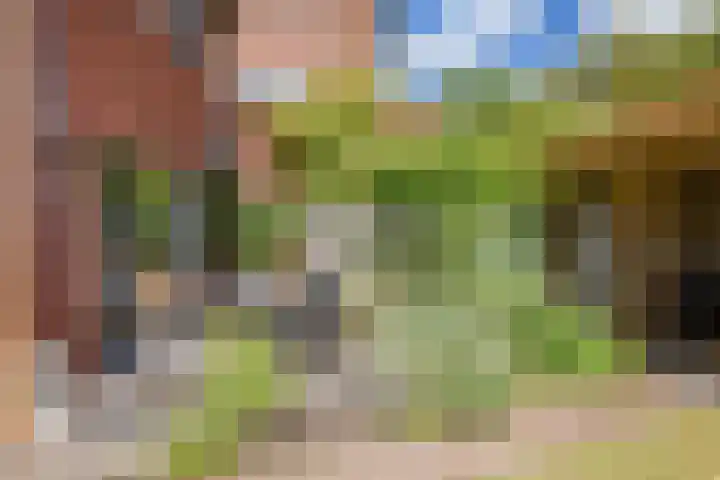 De Stek 5 Nieuwe Niedorp thumbnail 21
