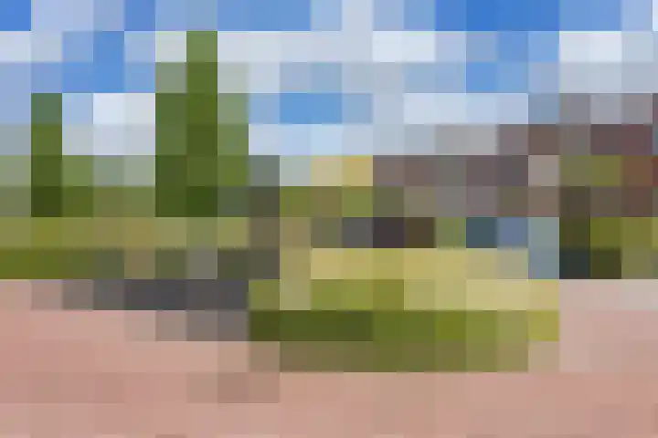 De Stek 5 Nieuwe Niedorp thumbnail 24