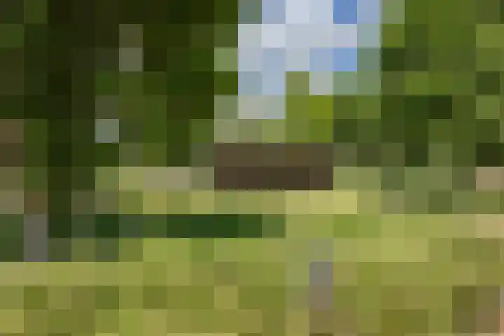 De Stek 5 Nieuwe Niedorp thumbnail 25