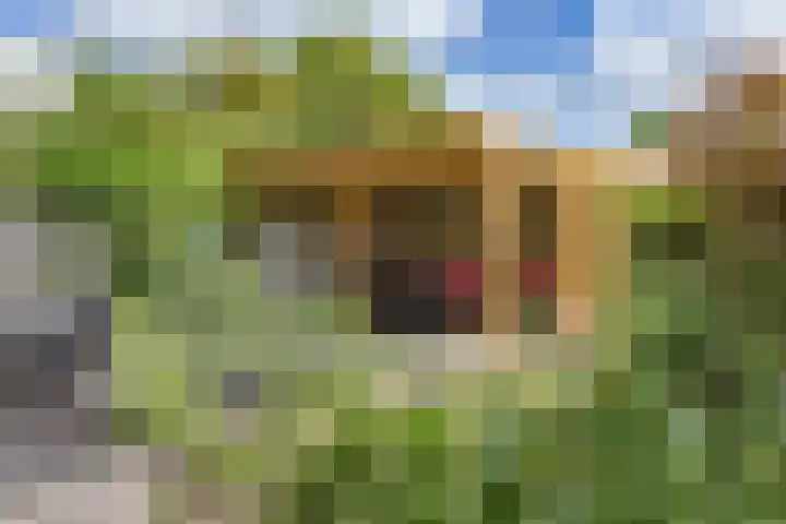 De Stek 5 Nieuwe Niedorp foto 3