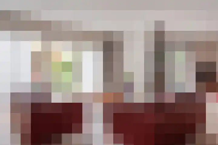 De Stek 5 Nieuwe Niedorp thumbnail 4