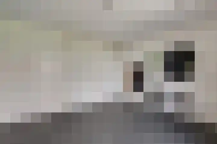 De Steke 3 Bakhuizen thumbnail 10