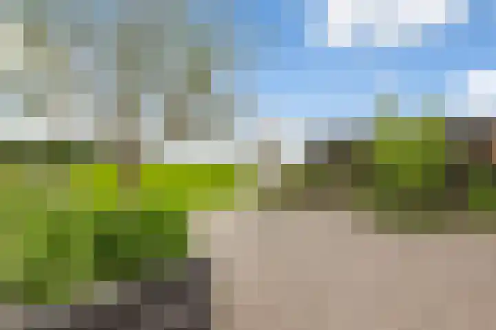 De Steke 3 Bakhuizen thumbnail 26