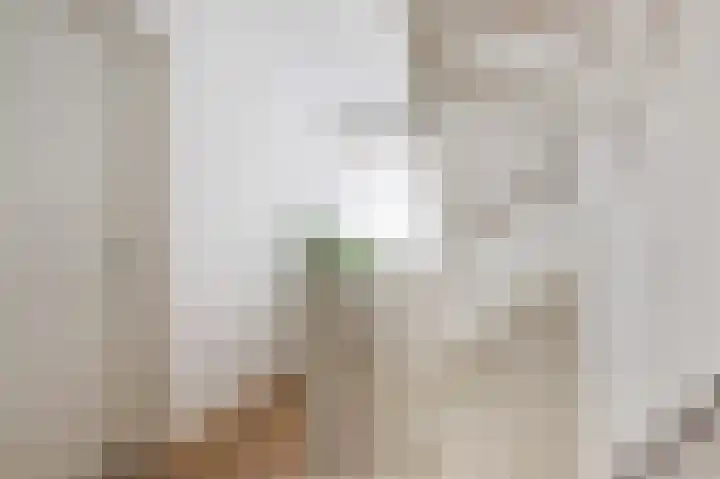 De Steke 3 Bakhuizen thumbnail 27