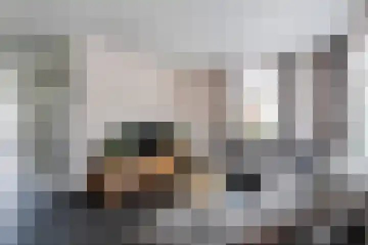 De Steke 3 Bakhuizen thumbnail 4