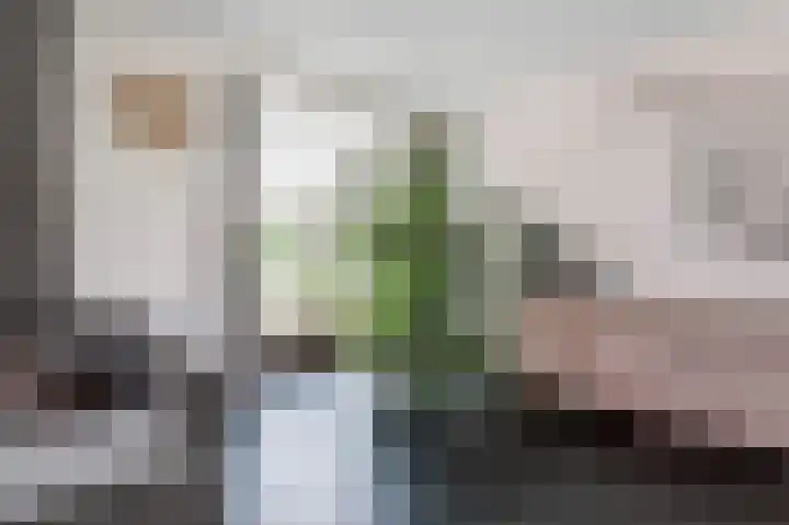De Steke 3 Bakhuizen thumbnail 5