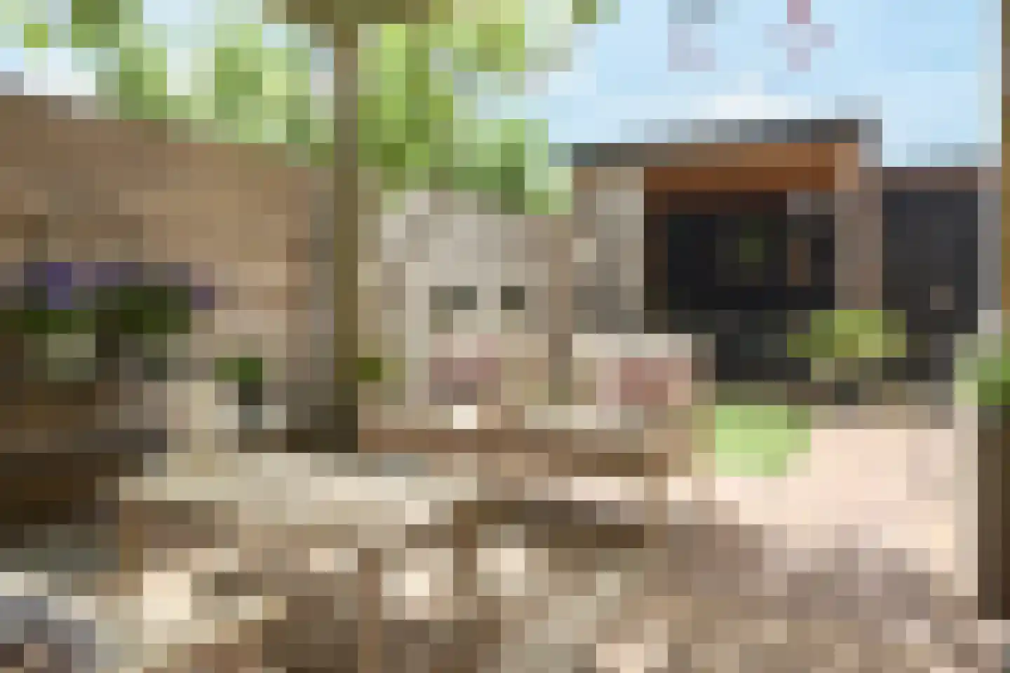 De Stelle 116 Joure thumbnail 27