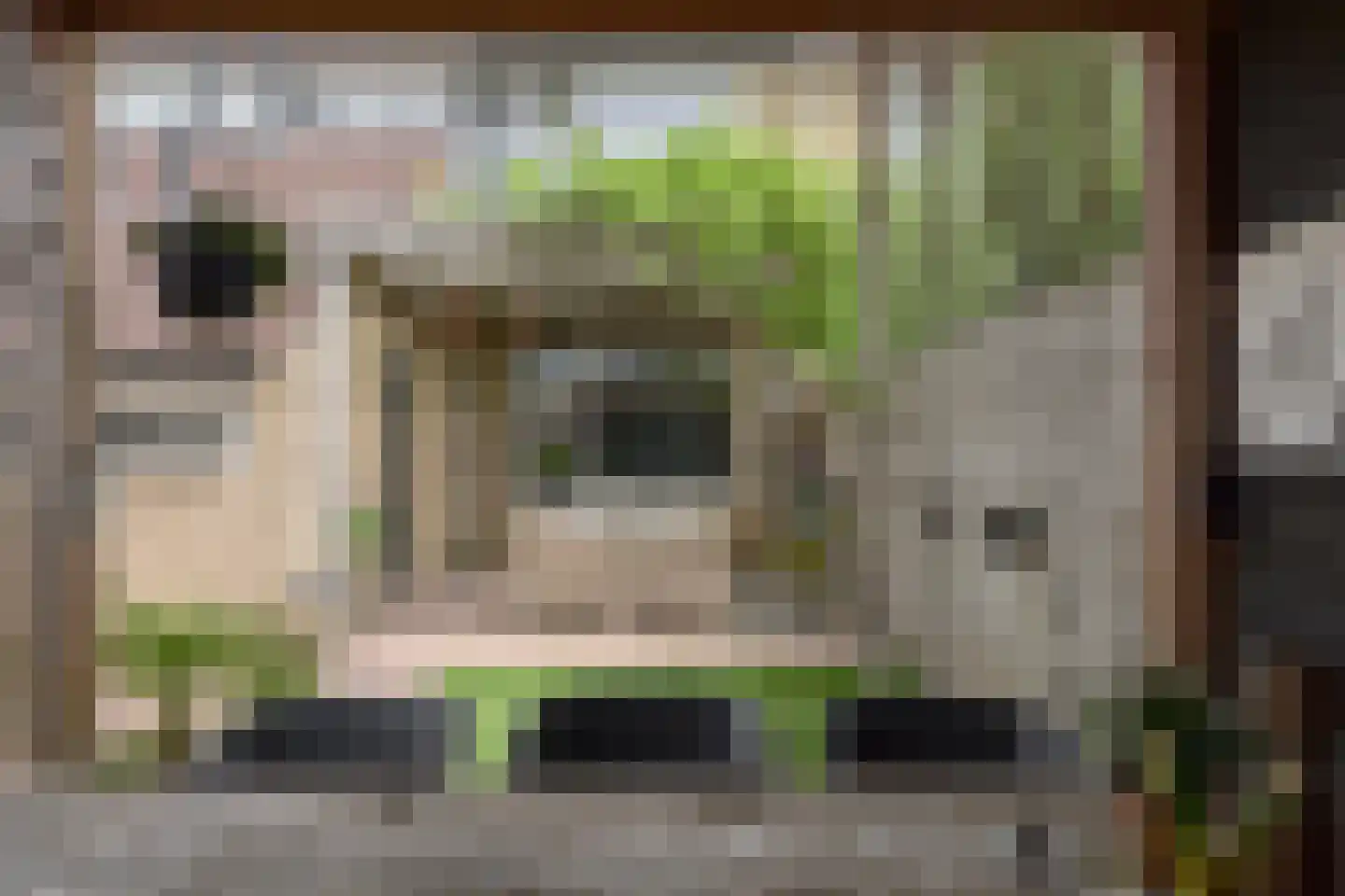 De Stelle 116 Joure thumbnail 30