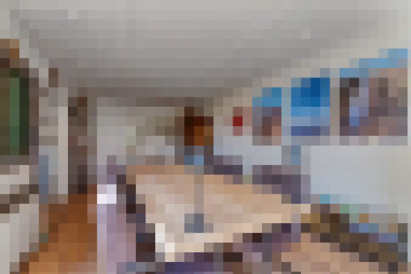 de Stelle 21 Cadzand thumbnail 14
