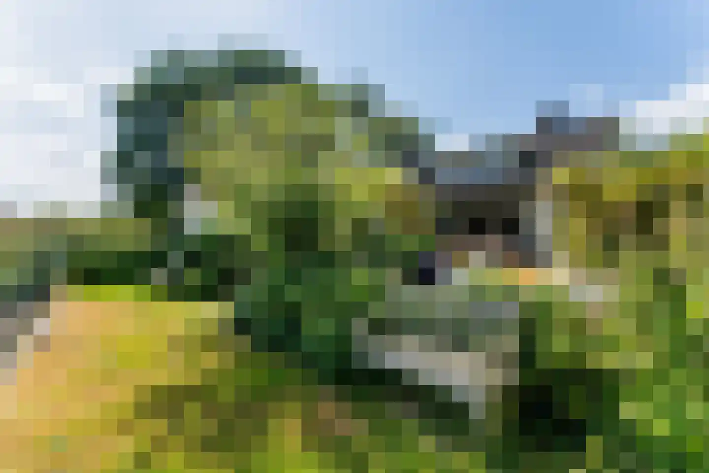 de Stelle 21 Cadzand thumbnail 4