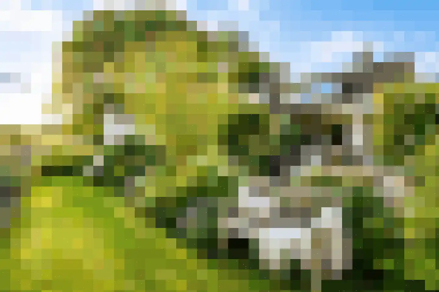 de Stelle 21 Cadzand thumbnail 5