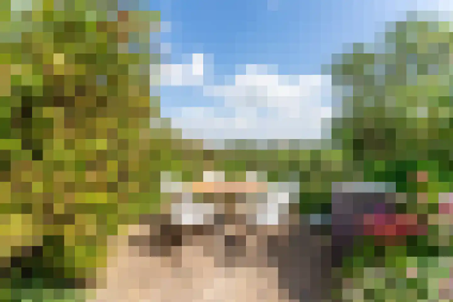 de Stelle 21 Cadzand thumbnail 6