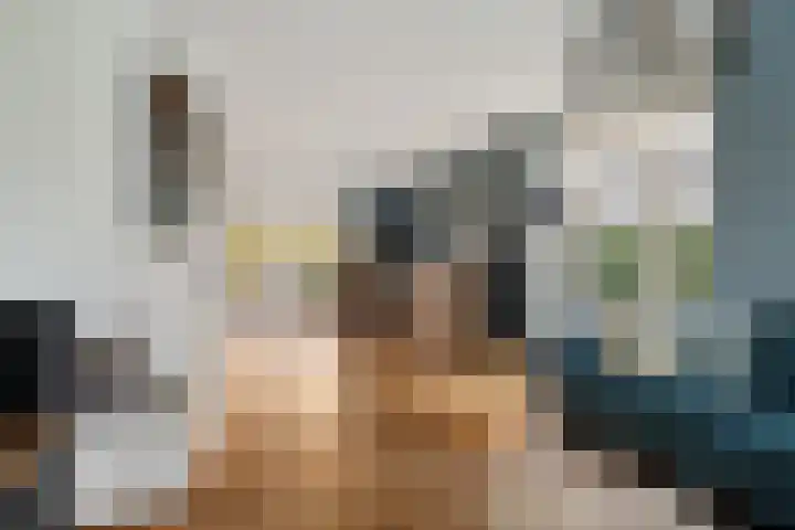De Stelle 45 Joure thumbnail 13