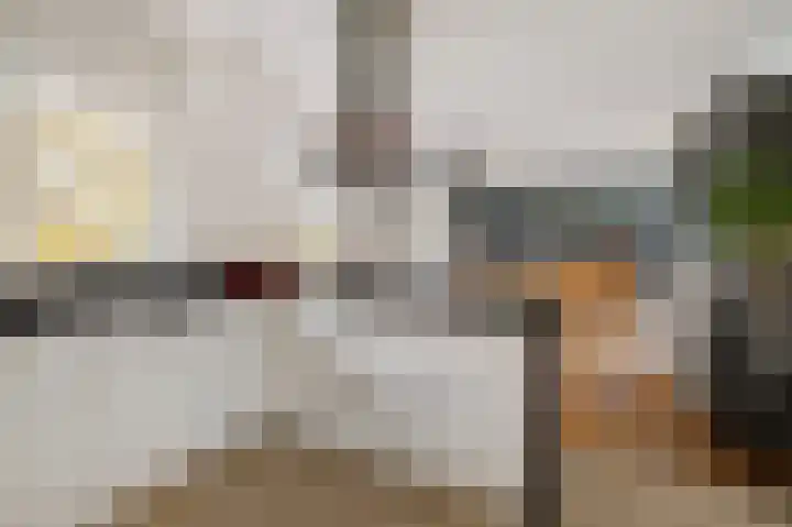 De Stelle 45 Joure thumbnail 18