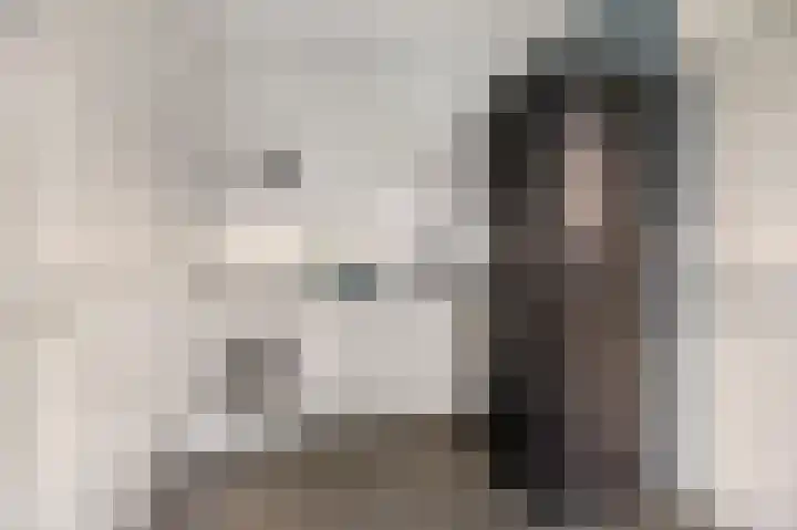 De Stelle 45 Joure thumbnail 21