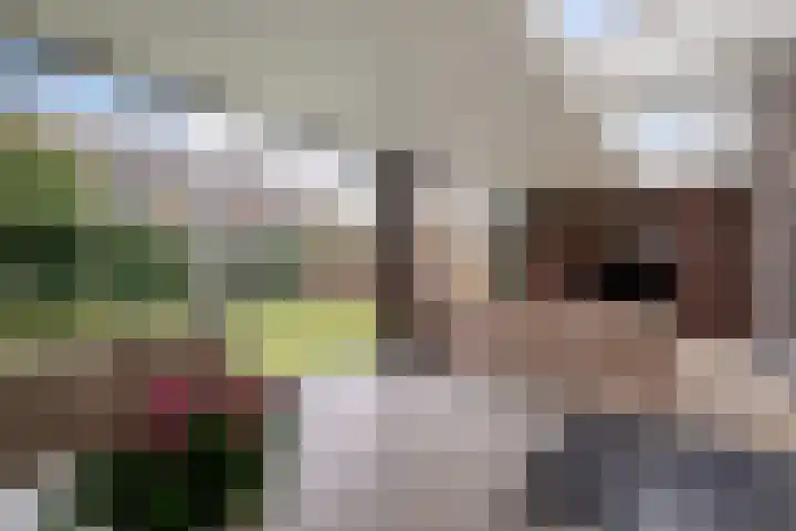 De Stelle 45 Joure thumbnail 23