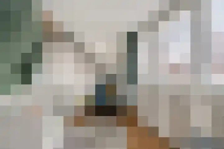 De Stelle 45 Joure thumbnail 27