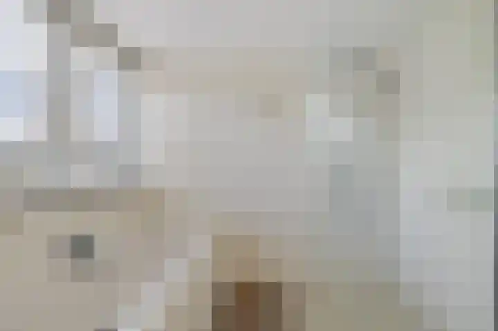 De Stelle 45 Joure thumbnail 32