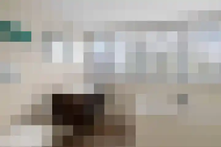 De Stelle 45 Joure thumbnail 33