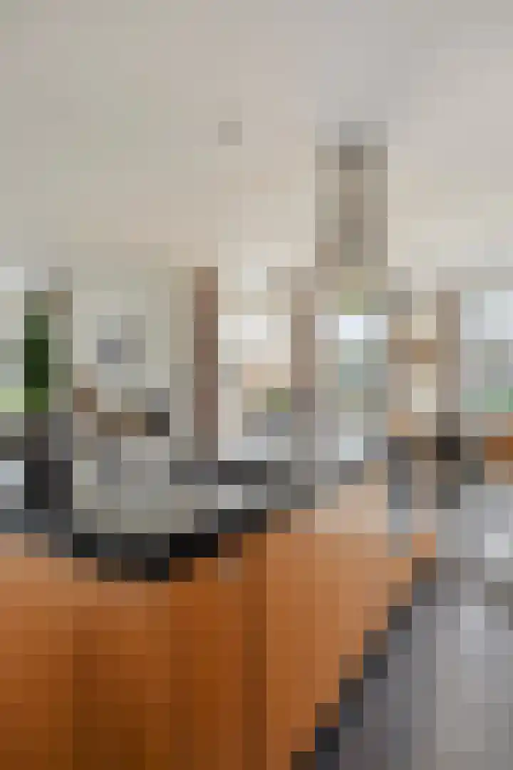 De Stelle 45 Joure thumbnail 34