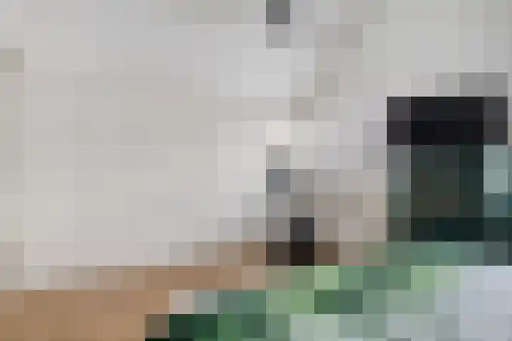 De Stelle 45 Joure thumbnail 35