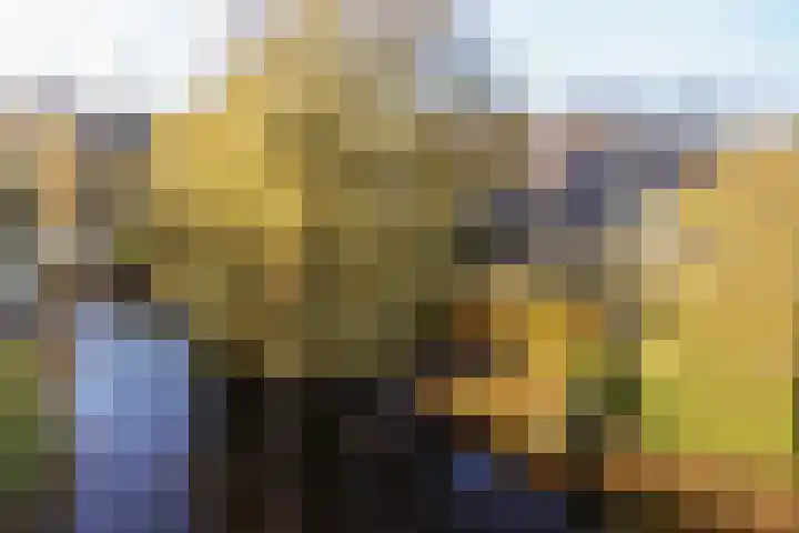 De Stelle 45 Joure thumbnail 36
